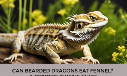 Can Bearded Dragons Eat Fennel? A Comprehensive Guide