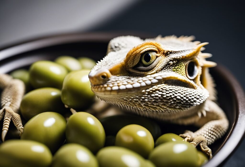 Can Bearded Dragons Eat Olives