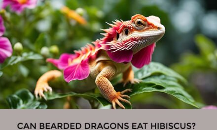 Can Bearded Dragons Eat Hibiscus?