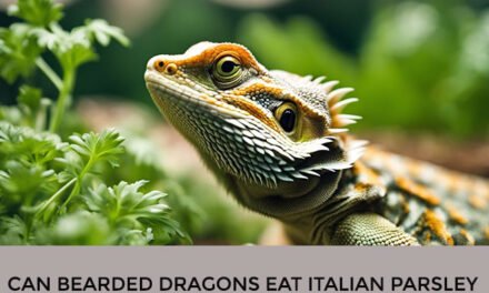 Can Bearded Dragons Eat Italian Parsley