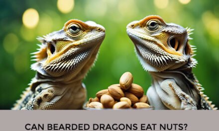 Can Bearded Dragons Eat Nuts?
