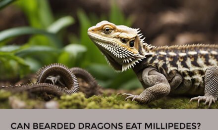 Can Bearded Dragons Eat Millipedes?