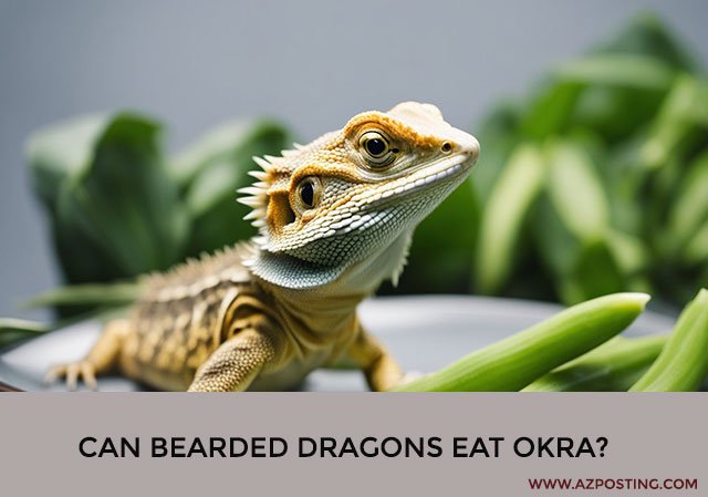 Can Bearded Dragons Eat Okra?