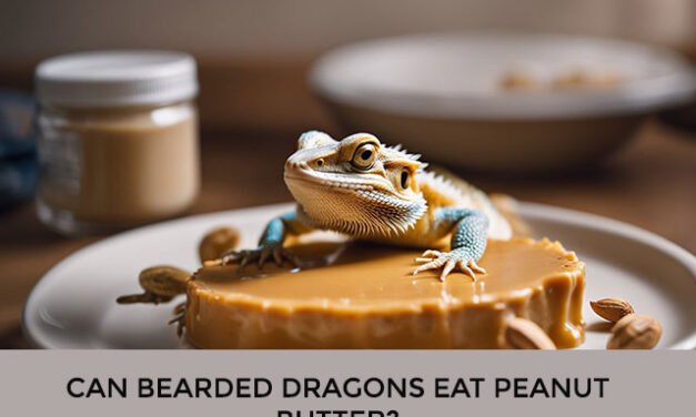 Can Bearded Dragons Eat Peanut Butter?