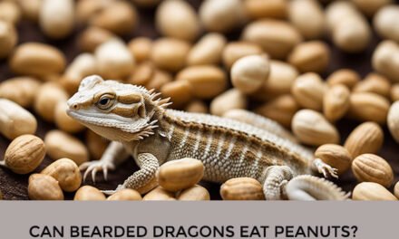 Can Bearded Dragons Eat Peanuts?