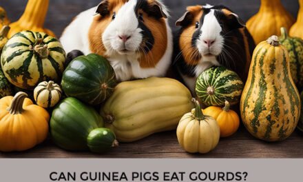 Can Guinea Pigs Eat Gourds?