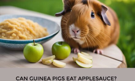 Can Guinea Pigs Eat Applesauce?