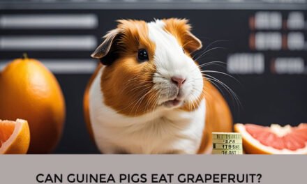 Can Guinea Pigs Eat Grapefruit?