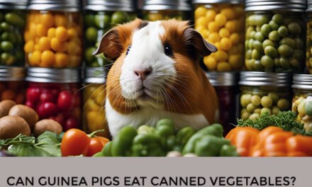 Can Guinea Pigs Eat Canned Vegetables?