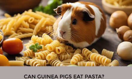 Can Guinea Pigs Eat Pasta?