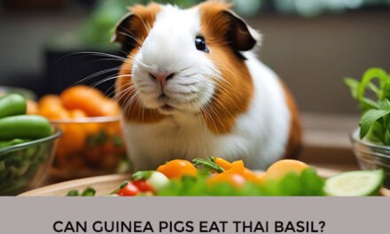 Can Guinea Pigs Eat Thai Basil?
