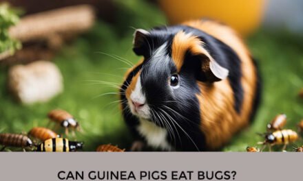 Can Guinea Pigs Eat Bugs?