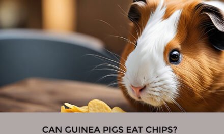 Can Guinea Pigs Eat Chips?