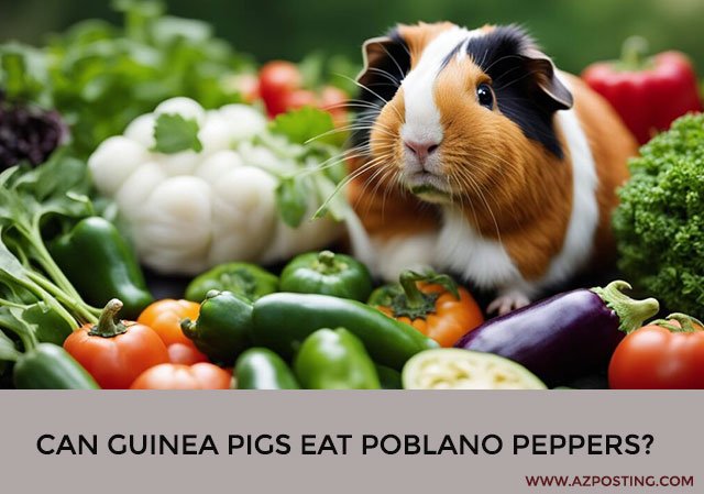 Can Guinea Pigs Eat Poblano Peppers?