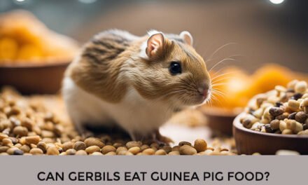 Can Gerbils Eat Guinea Pig Food?