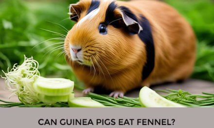 Can Guinea Pigs Eat Fennel?