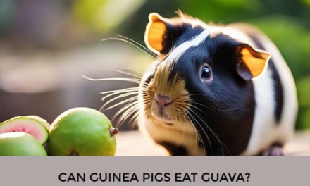 Can Guinea Pigs Eat Guava?