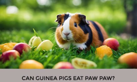 Can Guinea Pigs Eat Paw Paw?