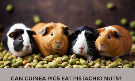 Can Guinea Pigs Eat Pistachio Nuts?