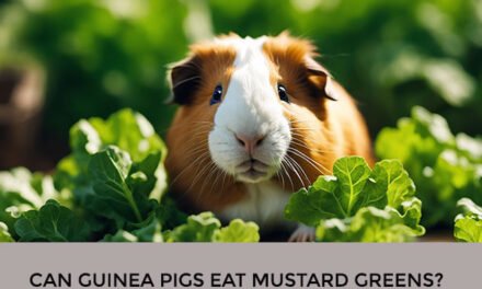 Can Guinea Pigs Eat Mustard Greens?