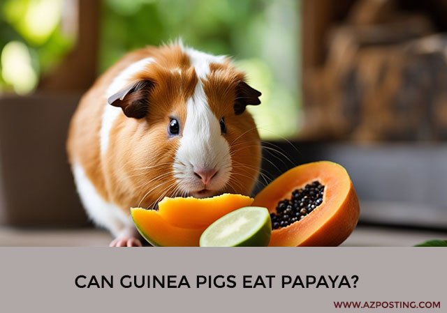 Can Guinea Pigs Eat Papaya?